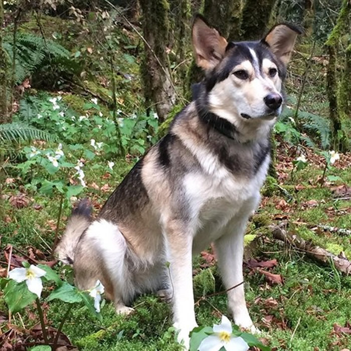 ôѩȮɭ̤ʱʧ˿Ѱ9 ָһ漣㶨