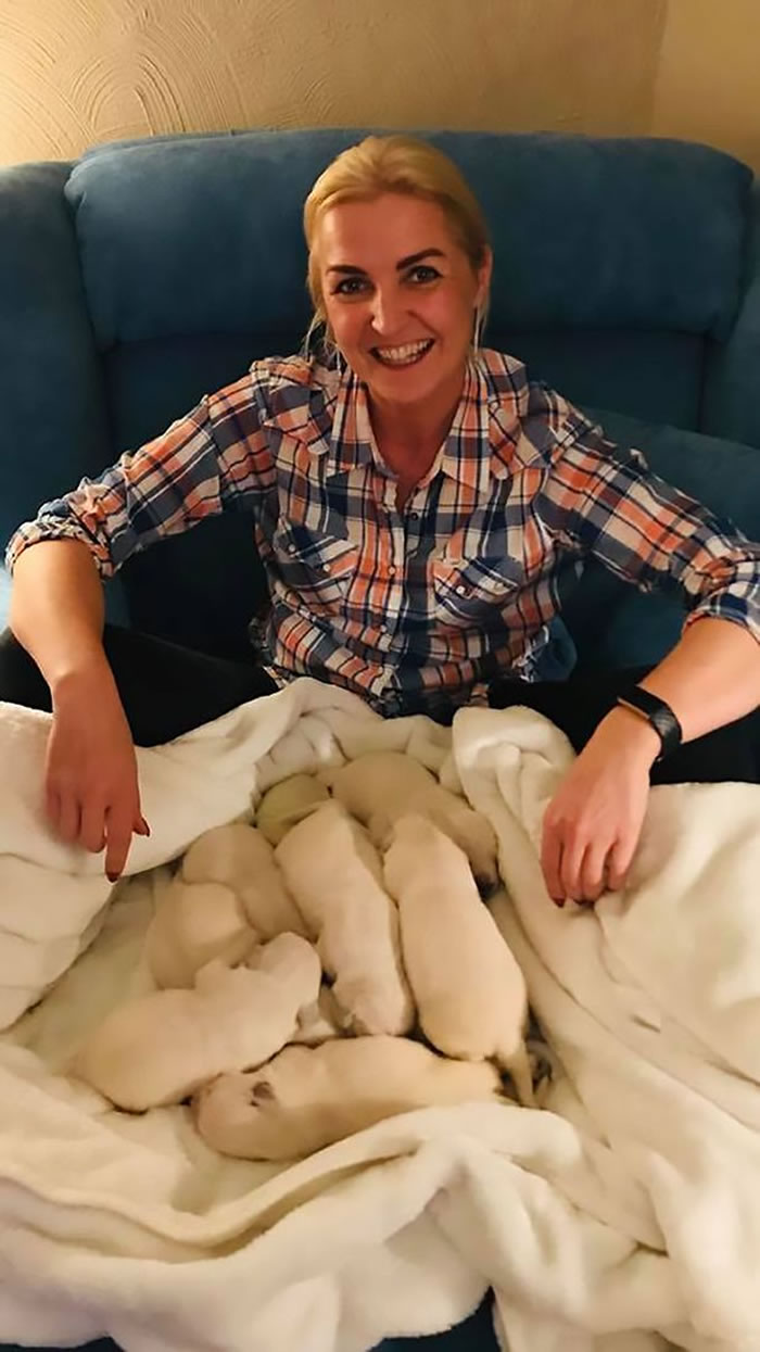 ¹һֻϡеıɫëѰȮ СĪС(Image: CEN/ Joanna Justice)