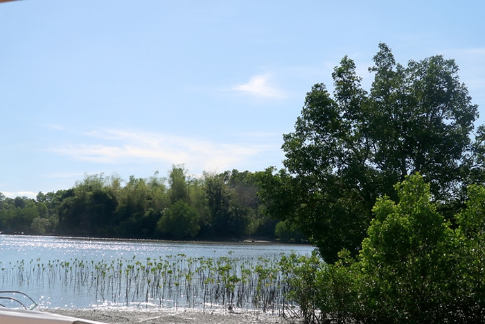 ���ϵĺ����ָ��������� Arnel Murga��Mongabay�ṩ��