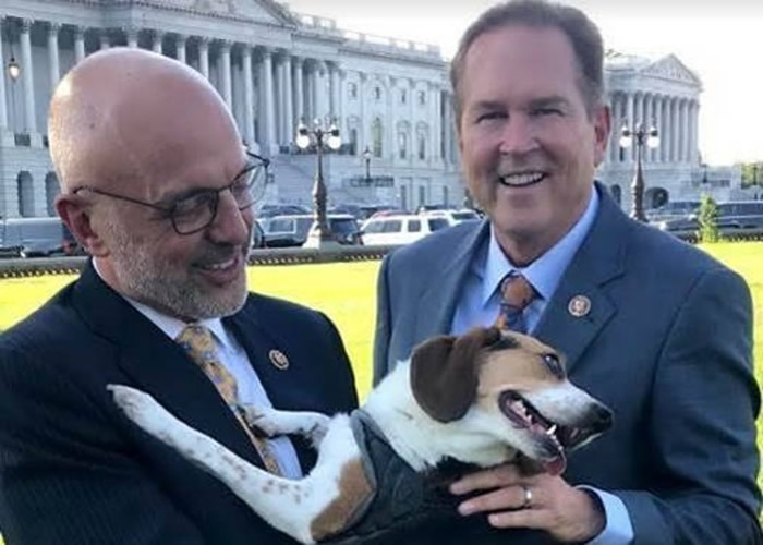 �����棨�󣩺Ͳ����ϣ��ң����PACT�õ��絳��֧��ͨ����