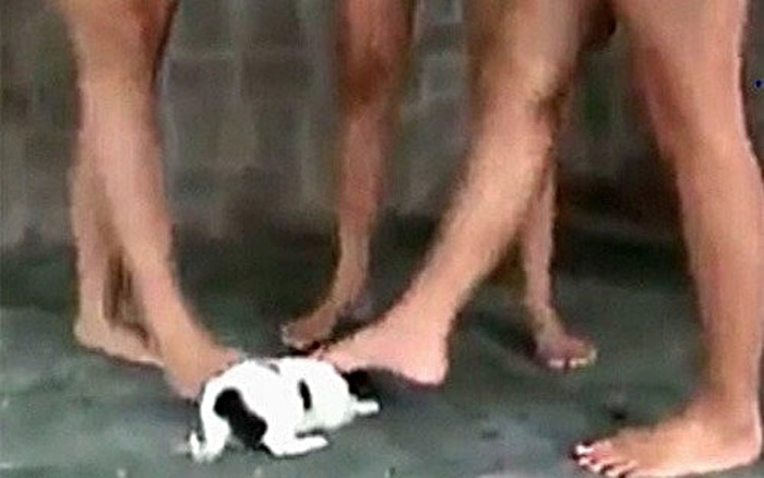 ���ϲ�ʱ�вб�Ű�������ӰƬ��