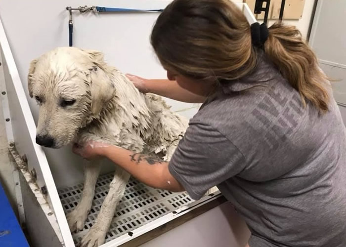 ����������ݿ��������Ȯ��������5�� ��Ԯ��Ա����Ӫ��