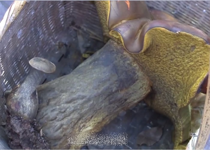 ���Ϻ����ʯ���ع�ũ������ţ�ξ������ʽ� ���ڣ����ж���