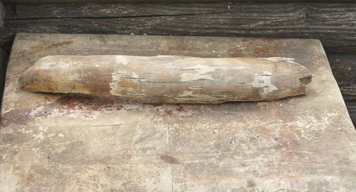 ˹ά˹10Ѯйܼ1489ԭ