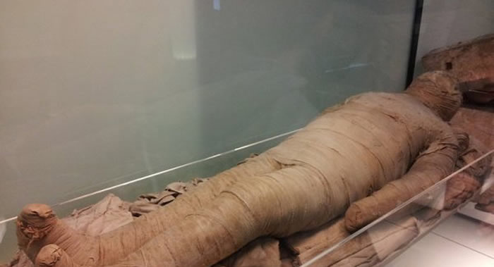 ����˹�ſ��ط���һ������ëƤ�����Ů�Ը�ʬ