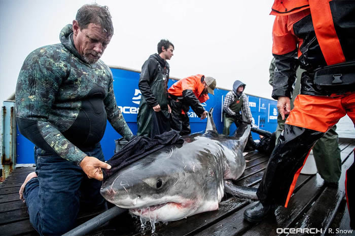 Ӫо֯OcearchʷڶʹUnmaki