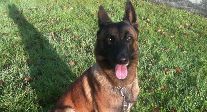 ����ʱ����ŵȮ����������˹�������͸���ͷĿ֮�����۱��� �ۼۿɴ�8.5����Ԫ