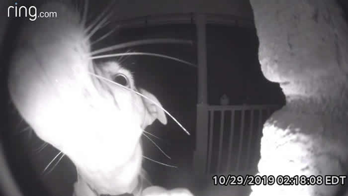 ������������̰����������Chika�賿��������Ž�ʱ�䱻������ ��צ��ȥ���������