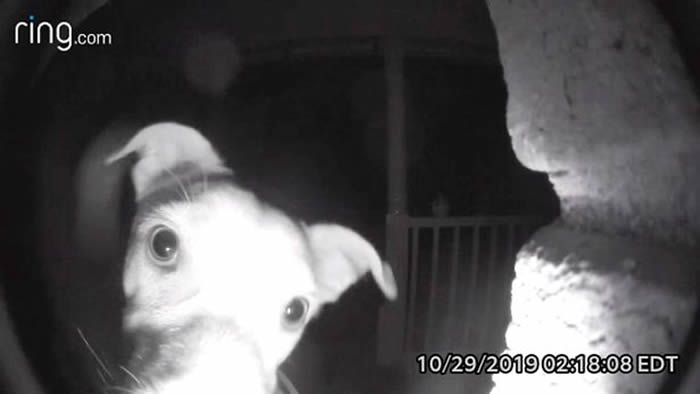 ������������̰����������Chika�賿��������Ž�ʱ�䱻������ ��צ��ȥ���������