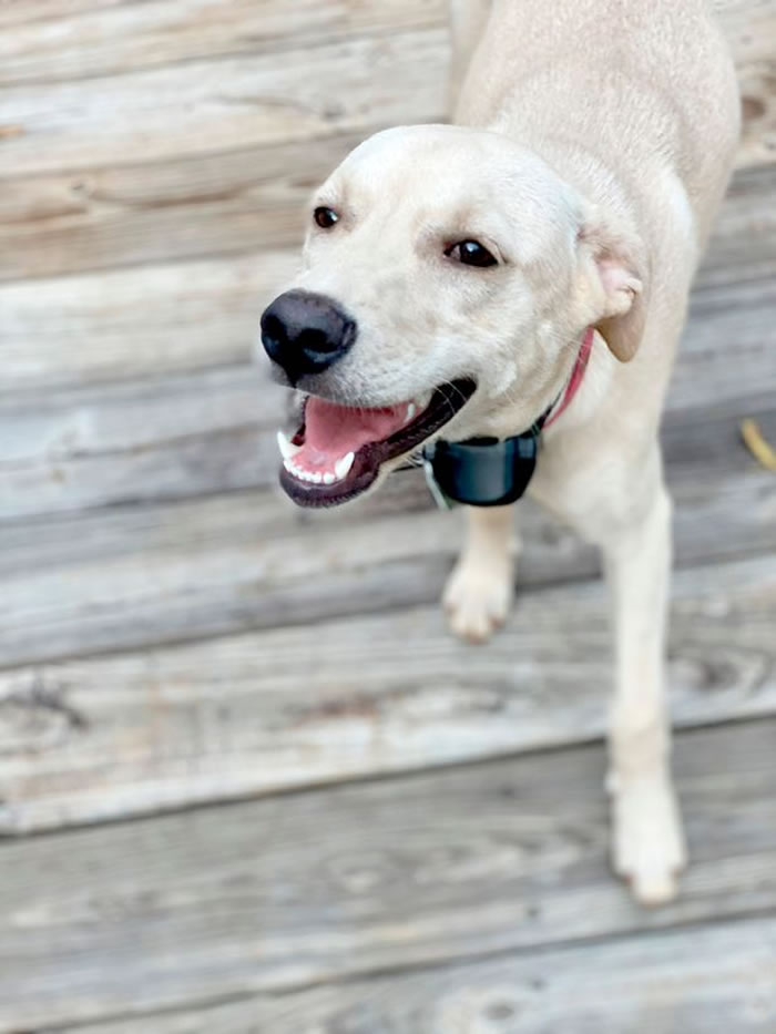 ������������̰����������Chika�賿��������Ž�ʱ�䱻������ ��צ��ȥ���������