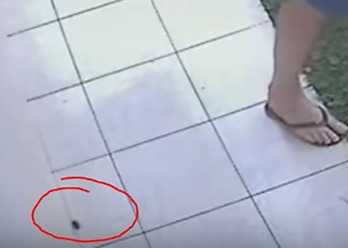 ����������ɱ�������Ч �����͵��ը��԰�����