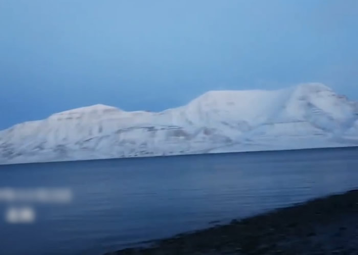 ֱ��ƽ̨�����ڱ�������24Сʱֱ��վ