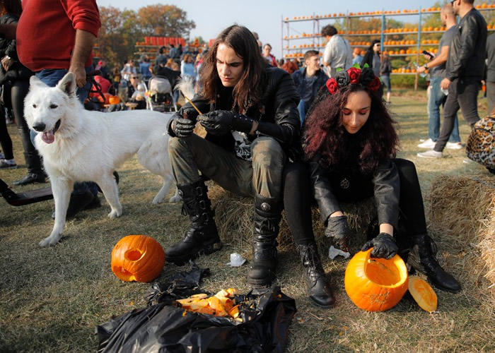 ׶˹Ϊףʥھٰŷ͵Ϲϻ