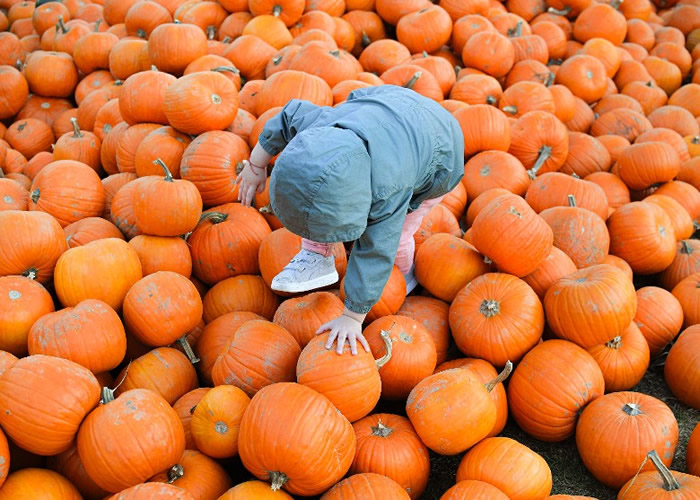 ׶˹Ϊףʥھٰŷ͵Ϲϻ