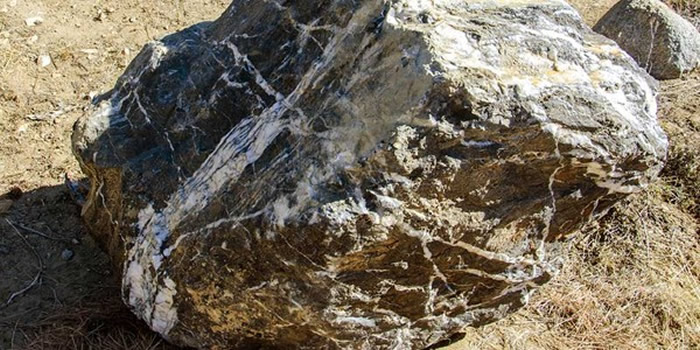 ��������ɣ��������˹���ع���ɭ�֡���ʦ�ҡ�һҹ��ʧ�������ػع�