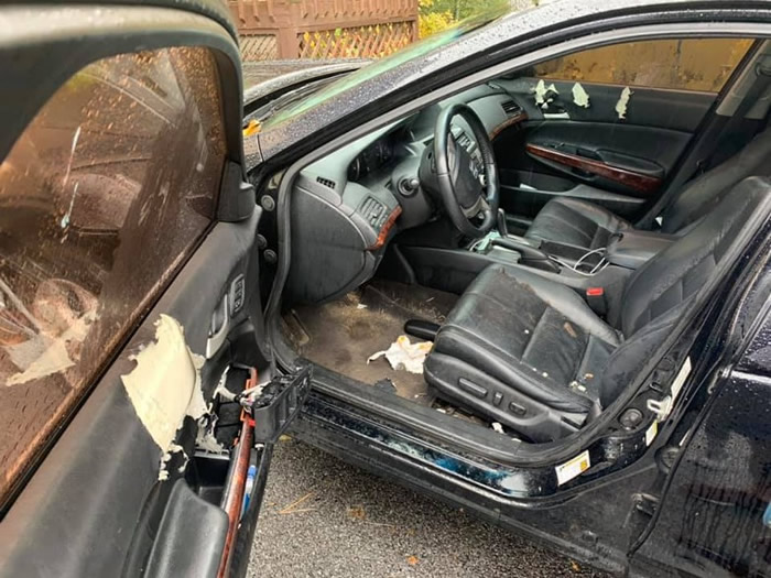 �����������ݷ����ڹ��ҹ�԰�ȼ� ����������3ֻ����͵�߳�����ʥ���ǹ�