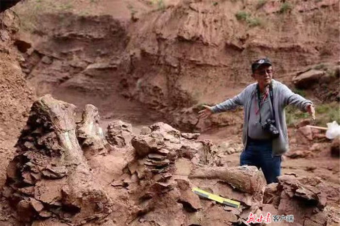 “黄河化石论坛”:甘肃省永靖县关山乡红楼村发现恐龙骨骼化石