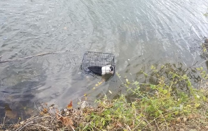 ��������ŵ�����ӵ��㾪�������������� ����������������