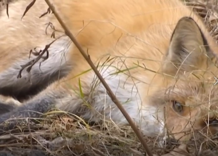 �������ں��к��괳ũ��͵���� ���ͺ�͵�����