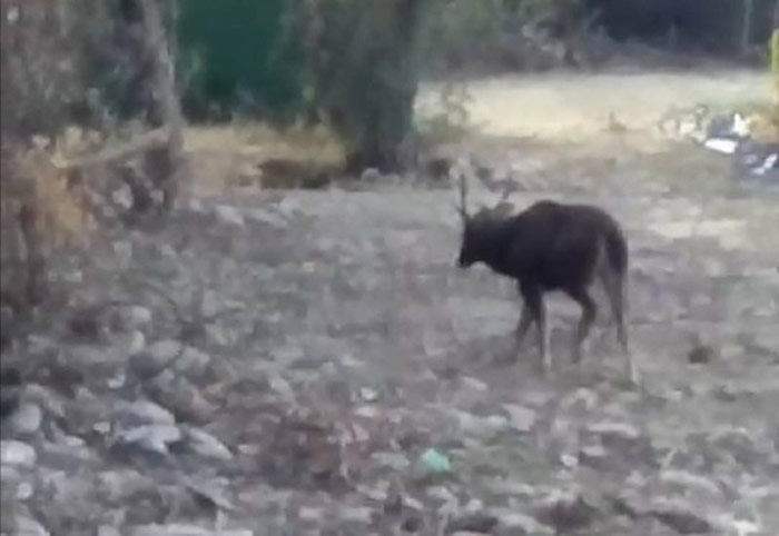 ̨�����û���ˮ��ɽ�����ˮ¹��������Ŀ����