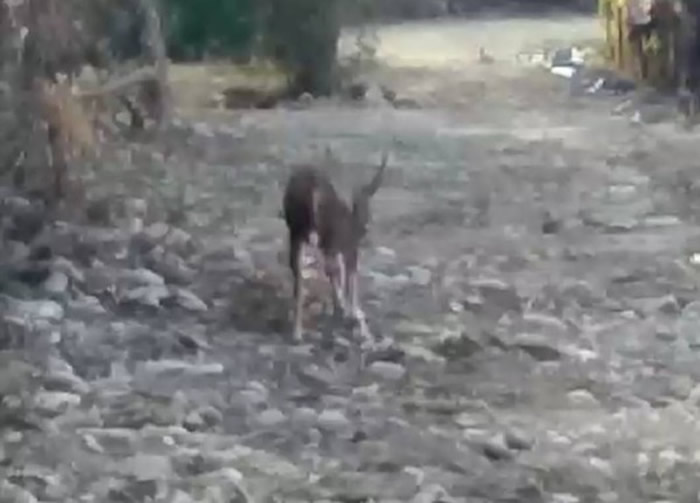 ̨�����û���ˮ��ɽ�����ˮ¹��������Ŀ����