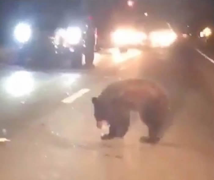 �������ݺ��ܼ������·ʱС�ܲ��ұ�����ײ�� ������ܲ���������