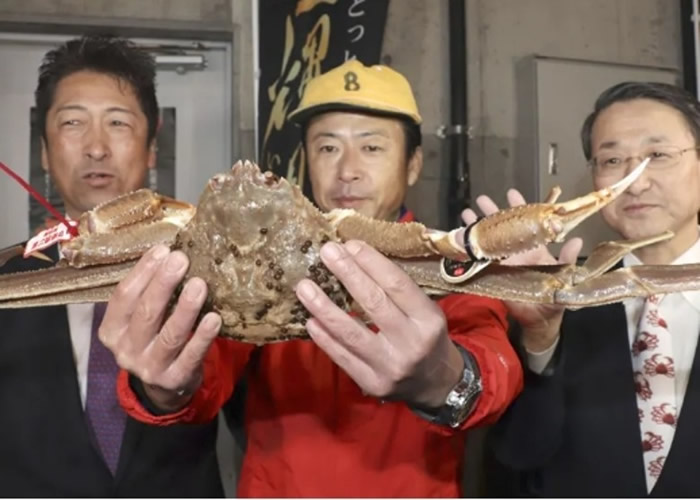 ձȡȡ۾Ҷз ǡҶз500Բ