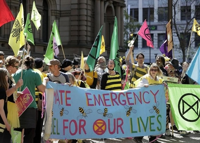 ӢȨֵ䡶˹Ӣʵ䡷ѡClimate strikesʾΪ2019ȴʻ