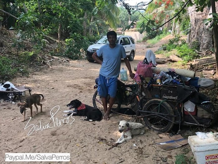 墨西哥男子Edgardo Perros带着一群狗花6年时间行走1.4万公里
