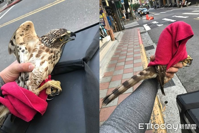 ̨��UberEats����Ա���ִ���ײ�������� ��ѯ���֪�Ǳ��������ݡ���ͷ��ӥ��