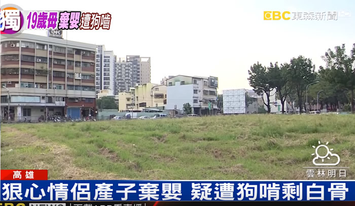 ̨�����Ӥ���ճ����ͱ��������¶��ڿյ�֮�� �ɱ�Ұ�����гɰ׹�