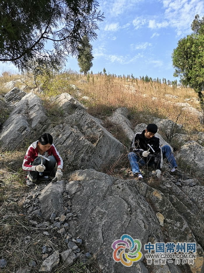 ��ʯ��ġ�������¡�����ٻƼ������