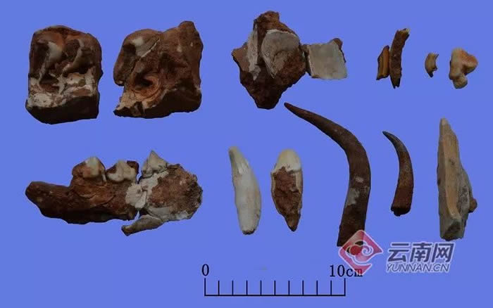 ����ʡ�����ݺ��������𶴾�ʯ��ʱ����ַ