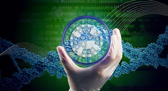 ���ߡ�������Լ�����������Ŀ�����Ա���������˽�����������ѧ�����������˻��̶�