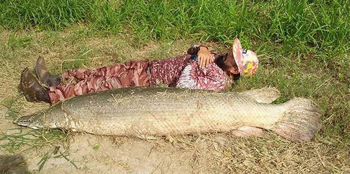 �����¿���˹�����������ս����𳤴�2�׳��ŷ������ݵ��Ǳ��㣨ȸ����