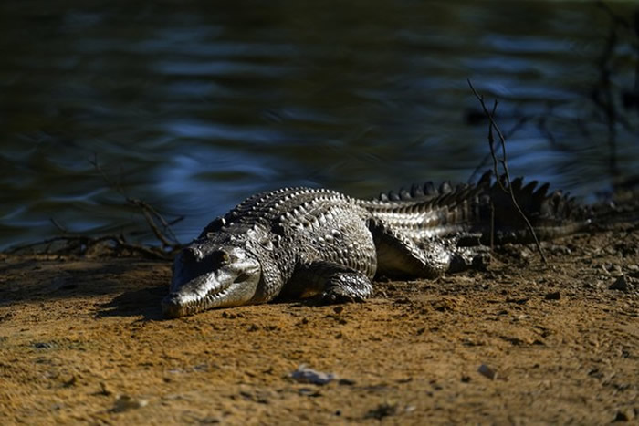 ʿ֮硱˹̲Ϯͼº ʹ۾