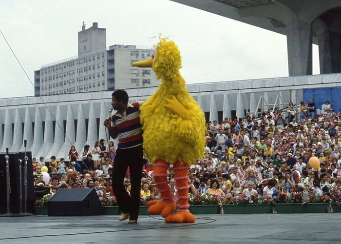 ���������ͯ��Ŀ��֥��֡�����50���� �۹����ý�������ף