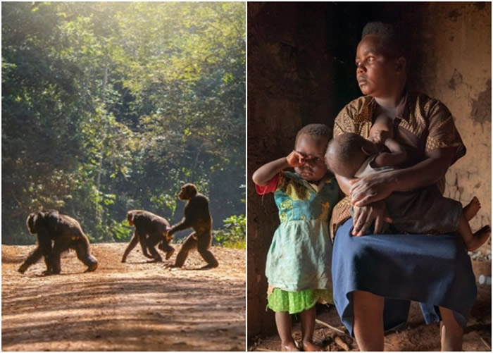 ����������ͼ���Ķ��ӱ����ɹ�����