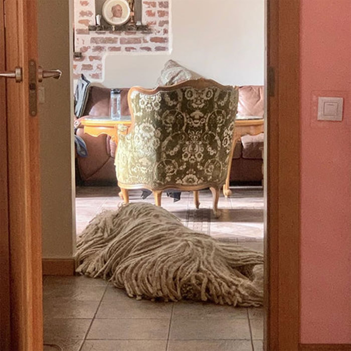 жϰѲƯŮһֻرĿȮ