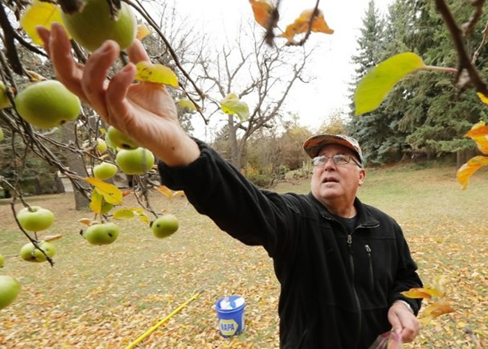 ��˹������ƻ�������ˡ���