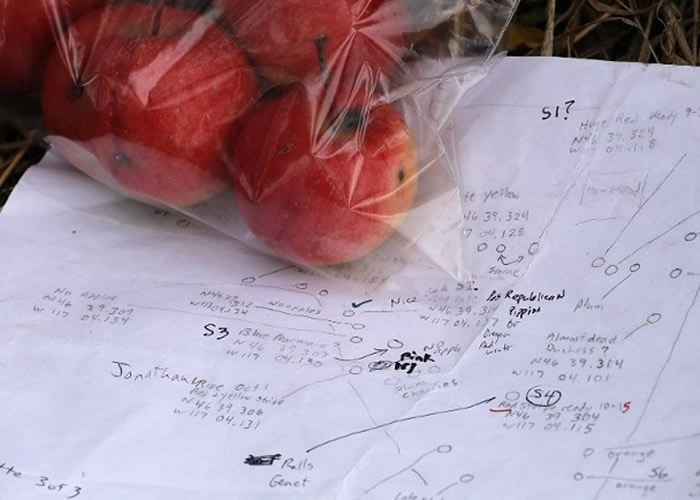 ���˽��·��ֵ�ƻ�������ܷ⽺����