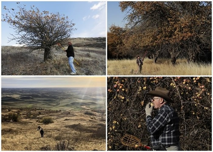 Ѱ������ƻ�����Ĺ��̷ǳ���ࡣ