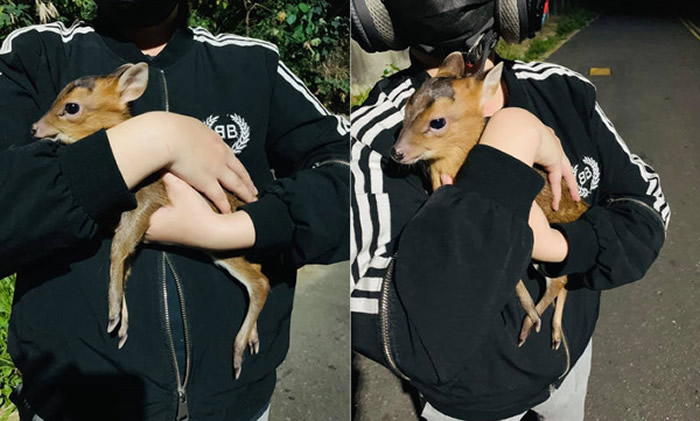 ̨�������ﾭɽ·ʱ����Ұ���������С���� ����ǰһ����Ȼ��ǰ�����ද��ɽǼ