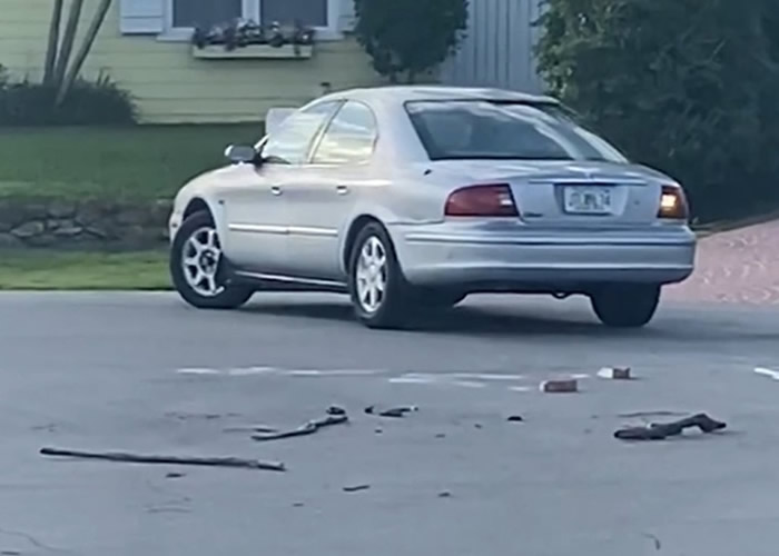 �������������һ���������Ϻ��ˡ�����ת�� ��ʻϯ�ϵ�˾����Ȼ��һֻ��������Ȯ