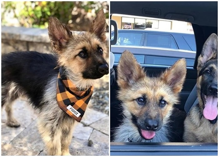 ɣһֻ¹ȮԴ٪֢Զ