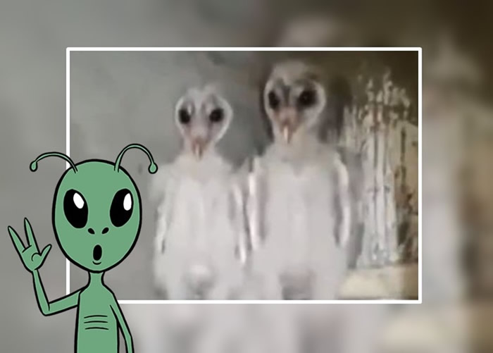 ӡ�������ڼ��и�¥�������������͡������� ԭ����ҹ�����ݡ��������^��