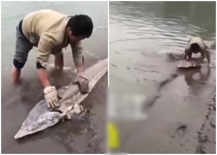 ���콭�������㷢�������Ȫ�ڳ�������һ����2.18���С�ˮ�д���è��֮�ƵĴ�����