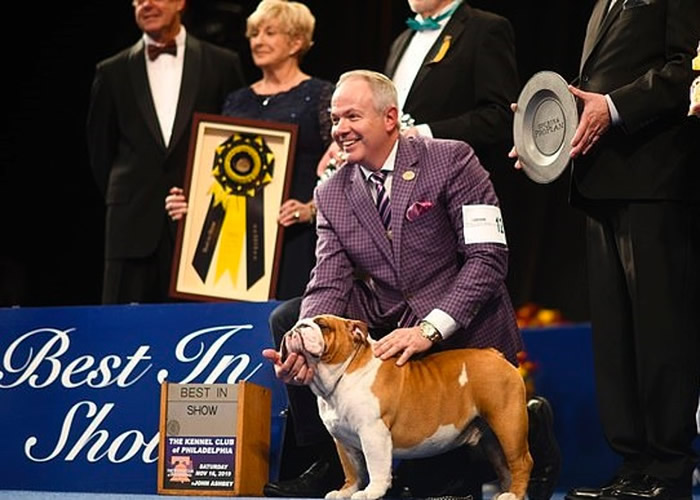 雷神(前)夺得最佳表演奖。