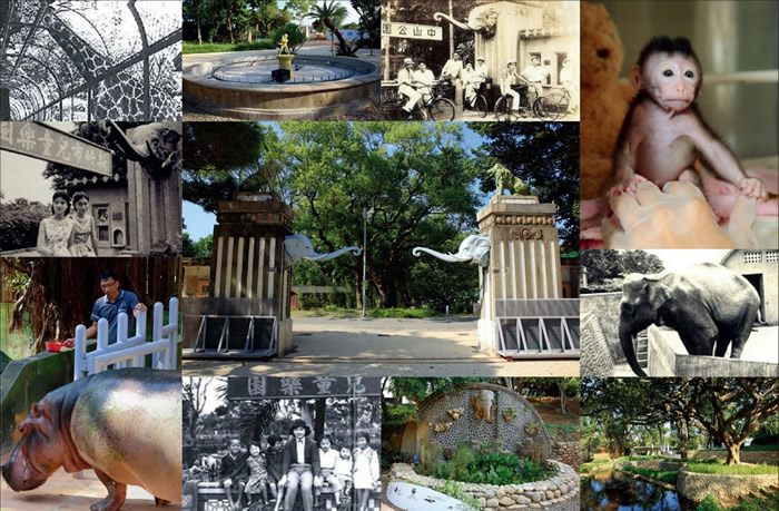 �Ƽ����������̬�̵�����������̨��������԰