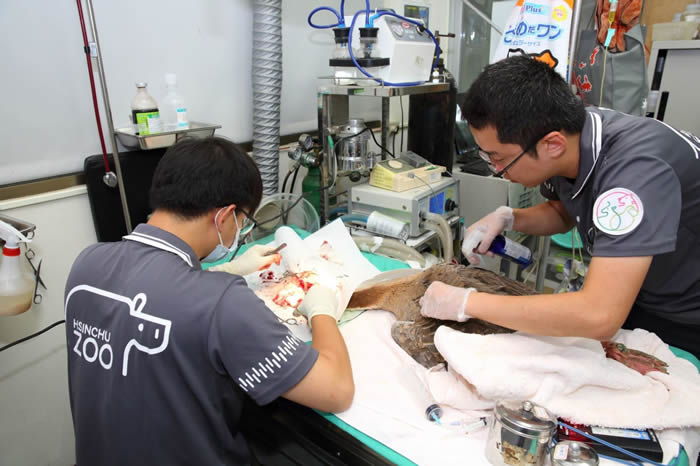 �Ƽ����������̬�̵�����������̨��������԰